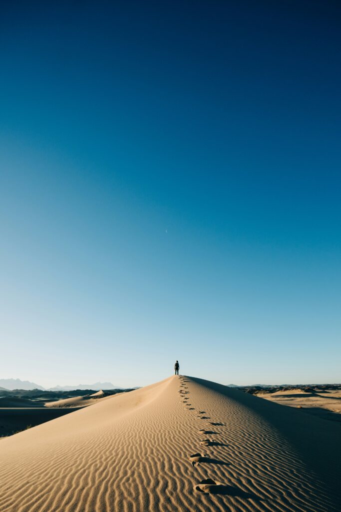 砂漠に立つ人